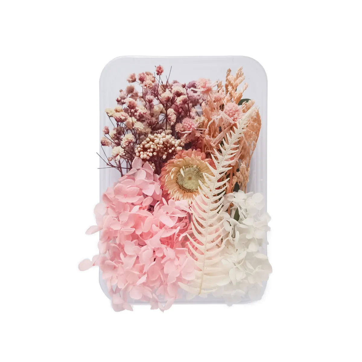 1 Box Real Dry Flower Dried Natural Plants Diy Artificial Dired Flowers