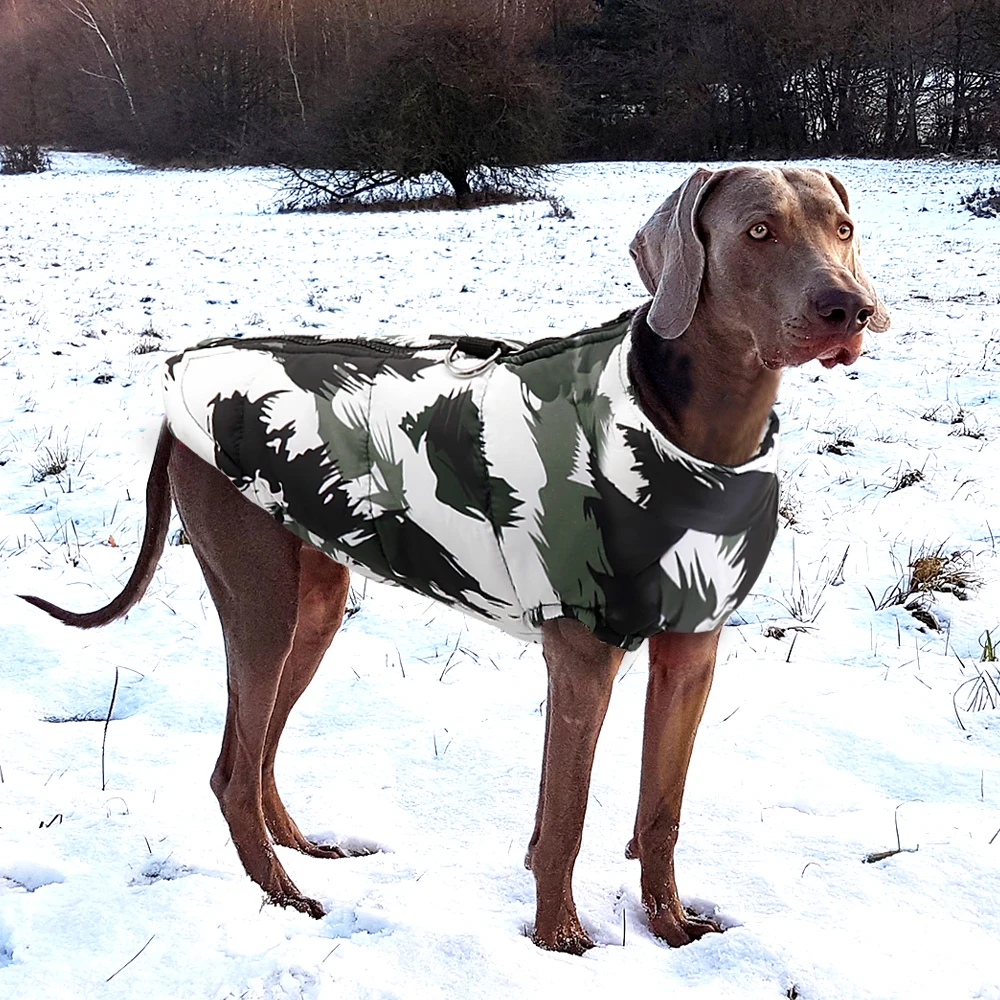 Waterproof Winter Dog Jacket – Warm Cozy Pet Coat for Small, Medium & Large Dogs 5