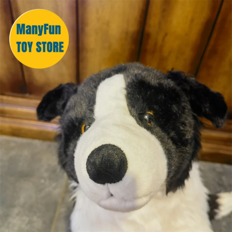S374c512f3ebc44489a73dd21fec77e89q - Border Collie Gifts