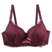 DaiNaFang New Sexy Floral Bras Set Push Up Underwear For Women Burgundy Gray Blue Pink Beige Black BC Cup Lingerie