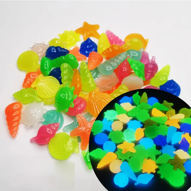 Shell 80pcs