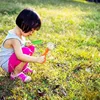 Plastic Nature Exploration Scissor Kids Tweezers Bug Scooper Handy Catcher Tong Set Plastic Tool Outdoor Clamp Catch Toddlers 1