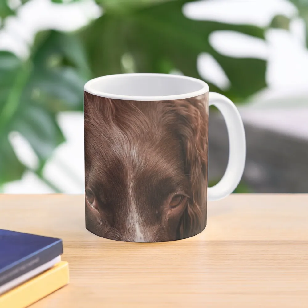 

English springer spaniel Coffee Mug Kawaii Cups Coffe Cups Glass Cups Mug
