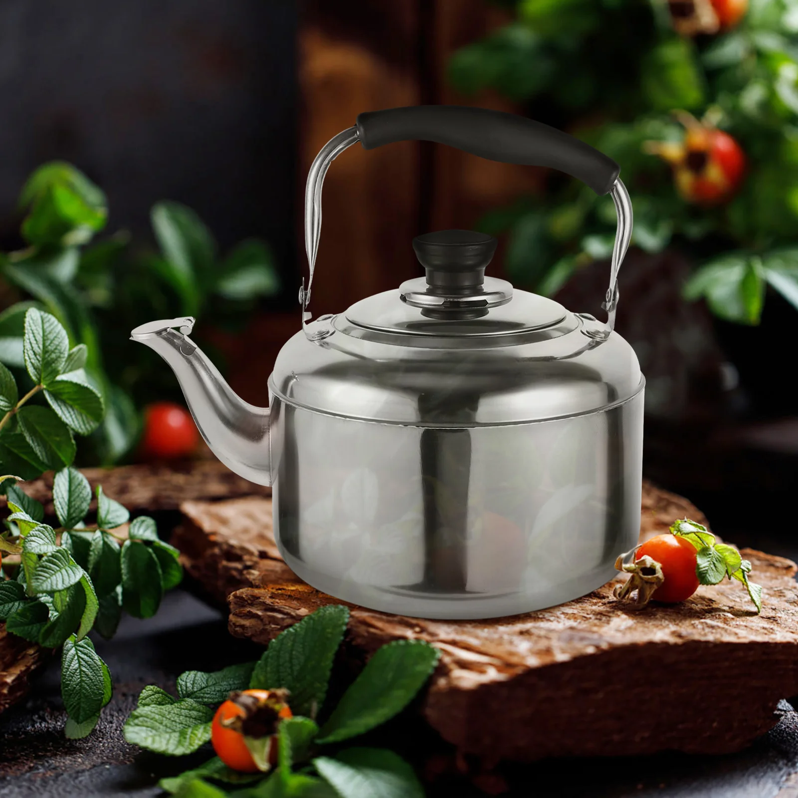 Stainless Steel Kettle Household Water Whistling Gooseneck Boiler Large Capacity Tea Heating Pot Camping Home-appliance