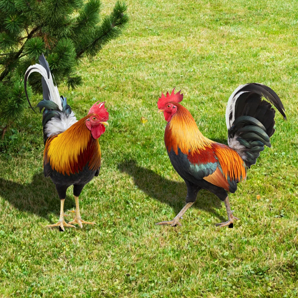 

Decorative Garden Stakes Outdoor Garden Rooster Figurines Stake Acrylic Chicken Yard Sculpture Farm Animal Lawn Stakes for