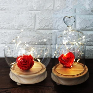 2sets/pack Different Shape Glass Dome Vase Home Decoration New Design Luminous Log Base Transparent Cover Friend Wedding Gift