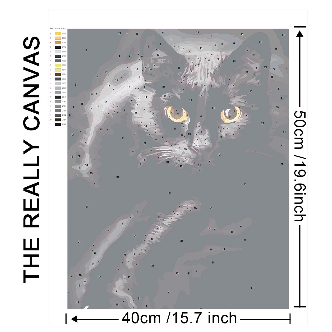 45896.jpg_.webp 45896.jpg_.webp