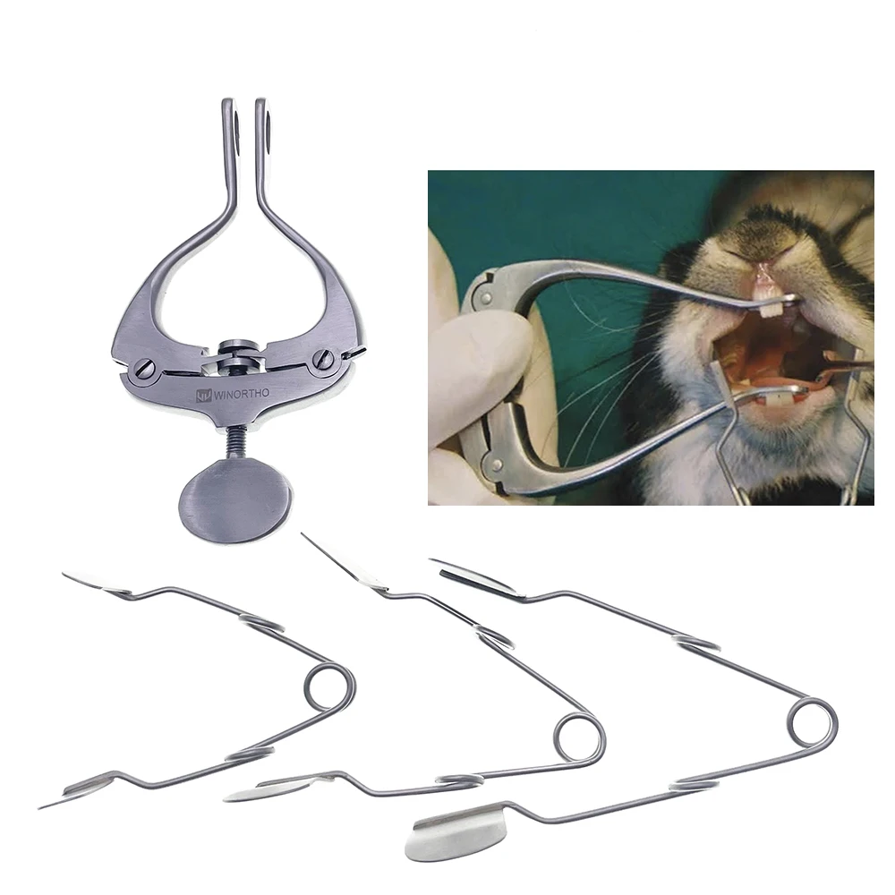 

Профессиональная крысиная мышь, кошка, кролик, морская свинка, оральные экзамены, ротовой расширитель, спекуляторы из нержавеющей стали, Vestibule Buccal, расширитель щек