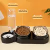 Cat Bowl Slanted Mouth Dog Bowl Cat Rice Bowl Double Bowl Stainless Steel Automatic Refilling Pet Bowl Three In One Drinking Fee