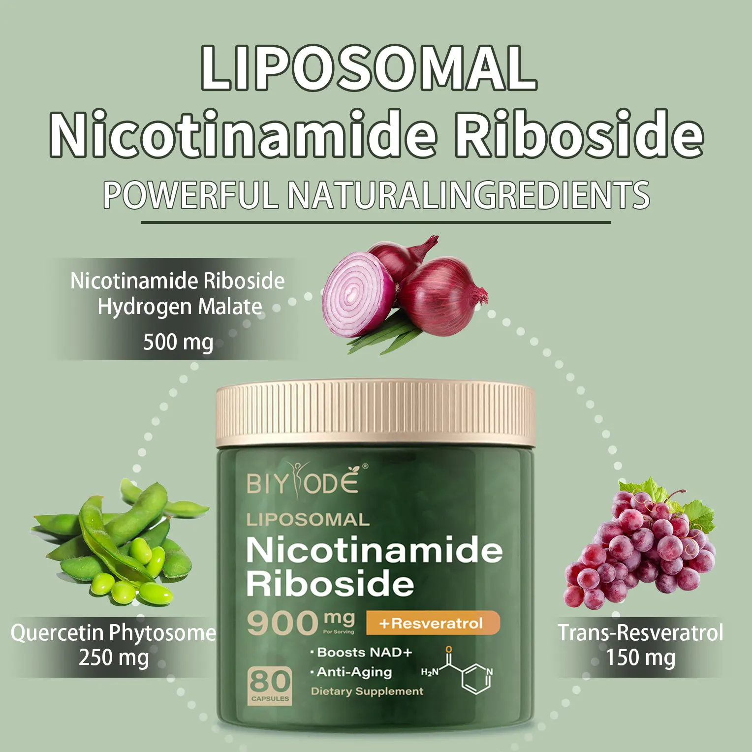 NAD+ Supplement Capsule-Liposomal Nicotinamide Riboside Resveratrol Quercetin for Anti-Aging Energy Focus nad+ supplement capsules