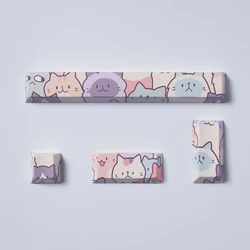 Coral Sea Custom Cherry Profile PBT Keycap Set - 4 Piece Dye - Sub Collection (Cat - 4pcs)