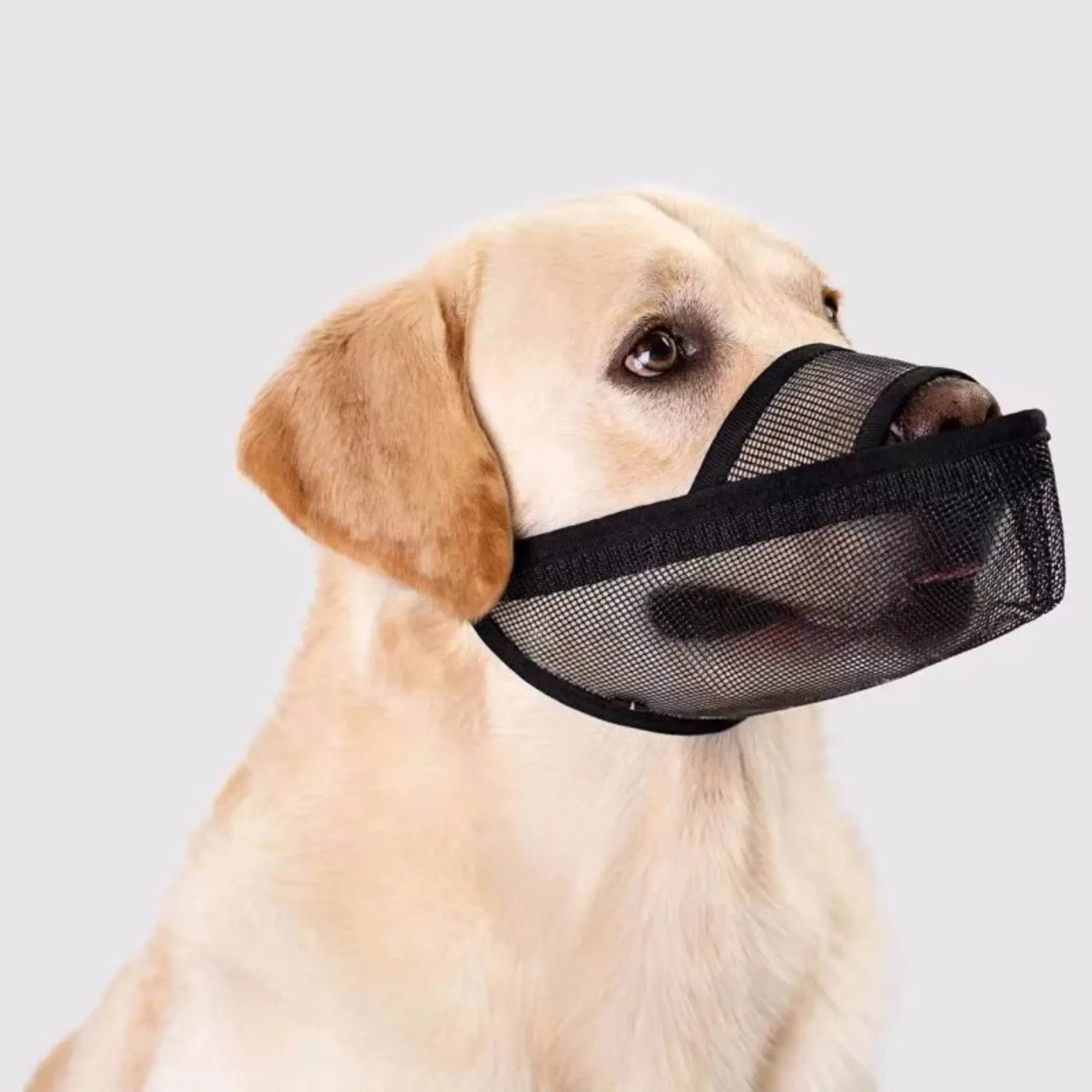 XXS-XL Dog Muzzle Anti Bark Dog Mouth Mask Adjustable Pet Muzzle For Small Large Breathable Mesh Pet Mouth Supplies dog muzzle