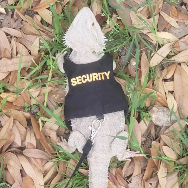 Lizard Leash Harness Soft Padding Reptile Bearded Dragon Vest Top with Hook And Loop Small Animals Security Print Clothes 5