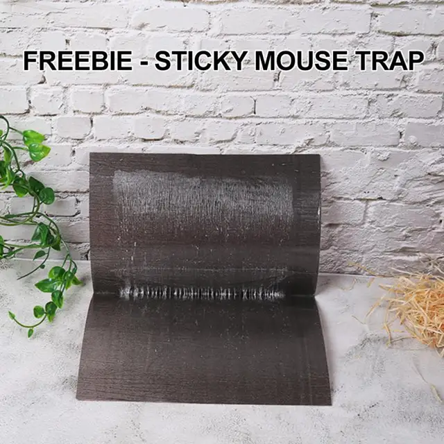 Deratizációs Krém 120 Ml Erős Patkánytaszító Gél Természetes Nincs Kémiai Kártevőirtó Szerszám Háztartási Termék Kerti Kellékekhez - Image 5