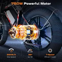 Vélo électrique HiQiS C200, batterie 48V 17.5AH, autonomie maximale 50KM, moteur 1000W, vitesse 25km/h, pneus larges de 20 pouces, tout-terrain, hors route, vélo électrique 2