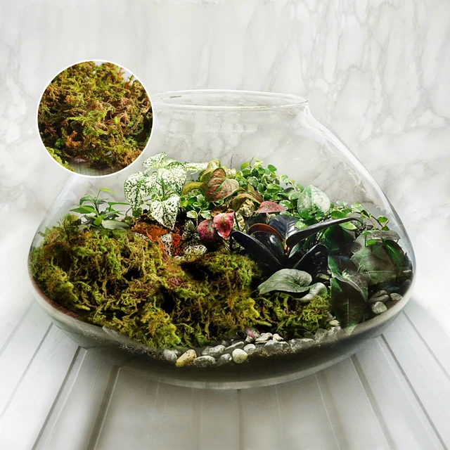 Decorative Artificial Dried Moss Balls with Vine