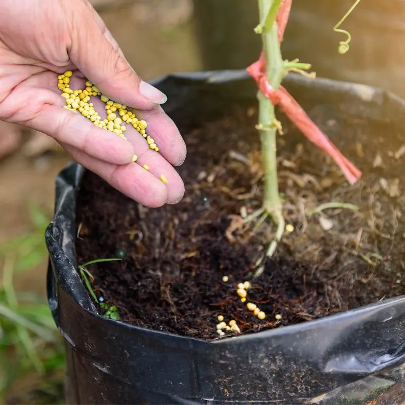 Universal Plants Nutrient Granules Controlled Release Fertilizer Potted Plants