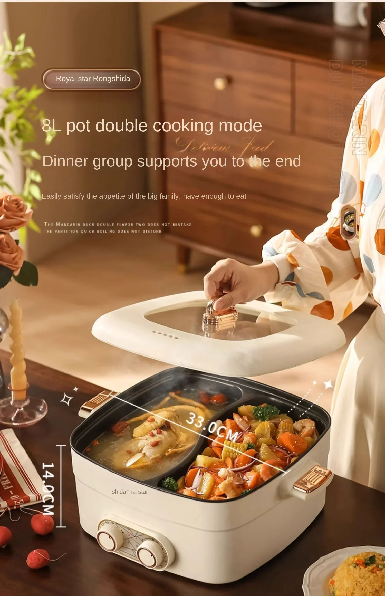 220V Royalstar Electric Hot Pot, 2-in-1 Multi-Function Cooker, Hotpot Shabu Shabu with Dual Control, Non-Stick,