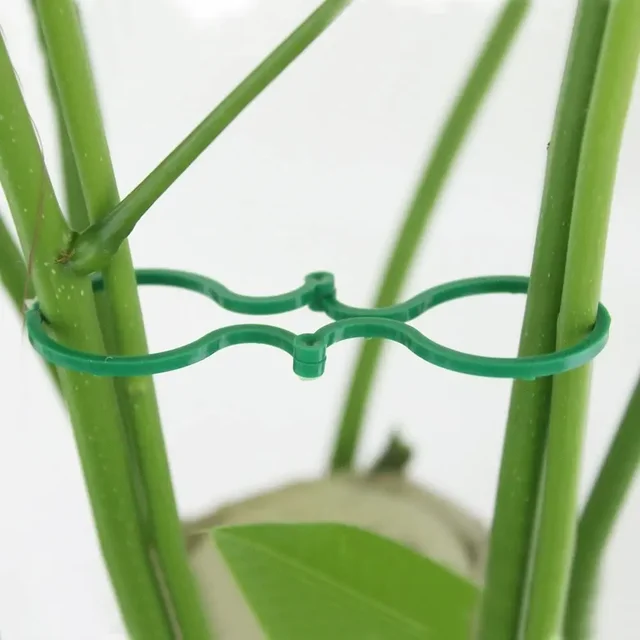 50pcs Garden Plant Support Clips Orchid Flower Ties Vegetables Tomato Vine Flower Clips Plastic Plant Locks for Securing Plants 4