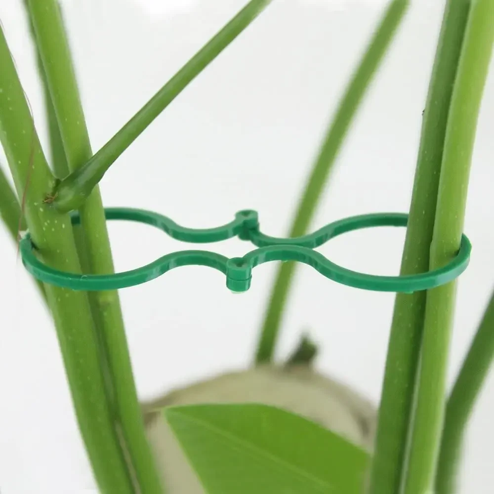 50pcs Garden Plant Support Clips Orchid Flower Ties Vegetables Tomato Vine Flower Clips Plastic Plant Locks for Securing Plants 4