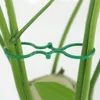50pcs Garden Plant Support Clips Orchid Flower Ties Vegetables Tomato Vine Flower Clips Plastic Plant Locks for Securing Plants 4