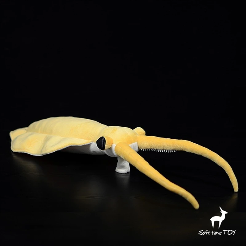 Nectocaris Pteryx High Fidelity Plushie Cambrian Plush Toys Lifelike Ancient Animals Simulation Stuffed Doll Toy Gifts For Kids 5