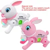 New Cartoon Electronic Walking Rabbit Toy Music Lovely Luminescent with Traction Rope Toys Crawling Toys(color Randomly Sent) 1
