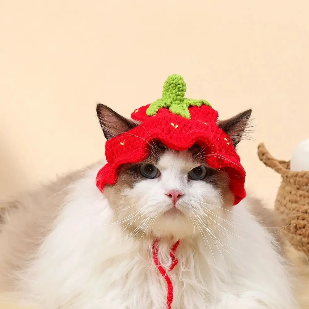 Wool Knitted Cat Hat for Pet Photo Shoots and Parties