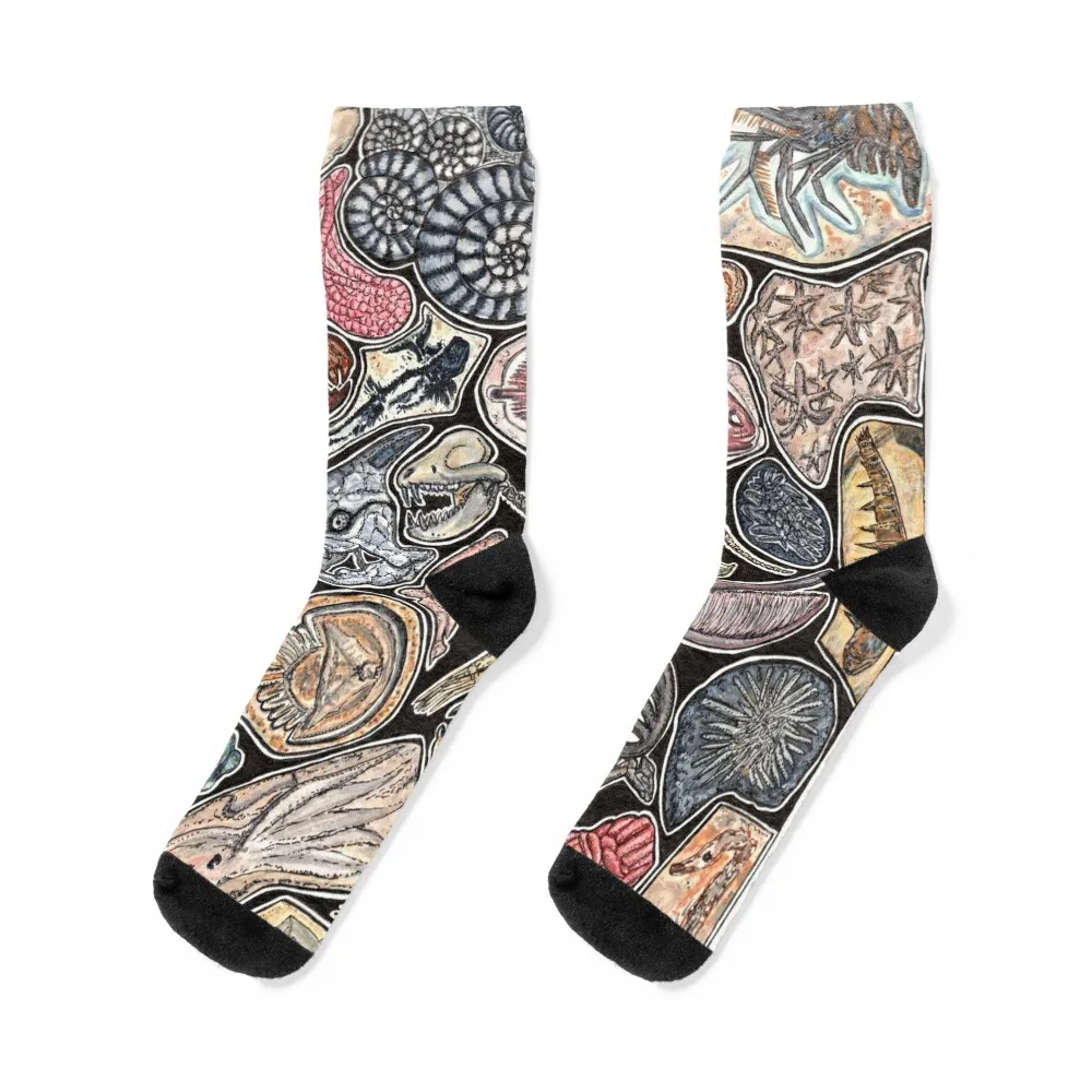 

Fossils for history, dinosaur and archaeology lovers Socks soccer anti-slip cool bright garter Socks For Men Women's