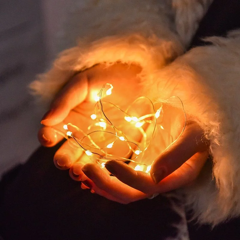 

Christmas Wedding Decor Holiday Copper Wire Light Outdoor Garden Garland Fairy Light Party Decoration LED Camping String Light