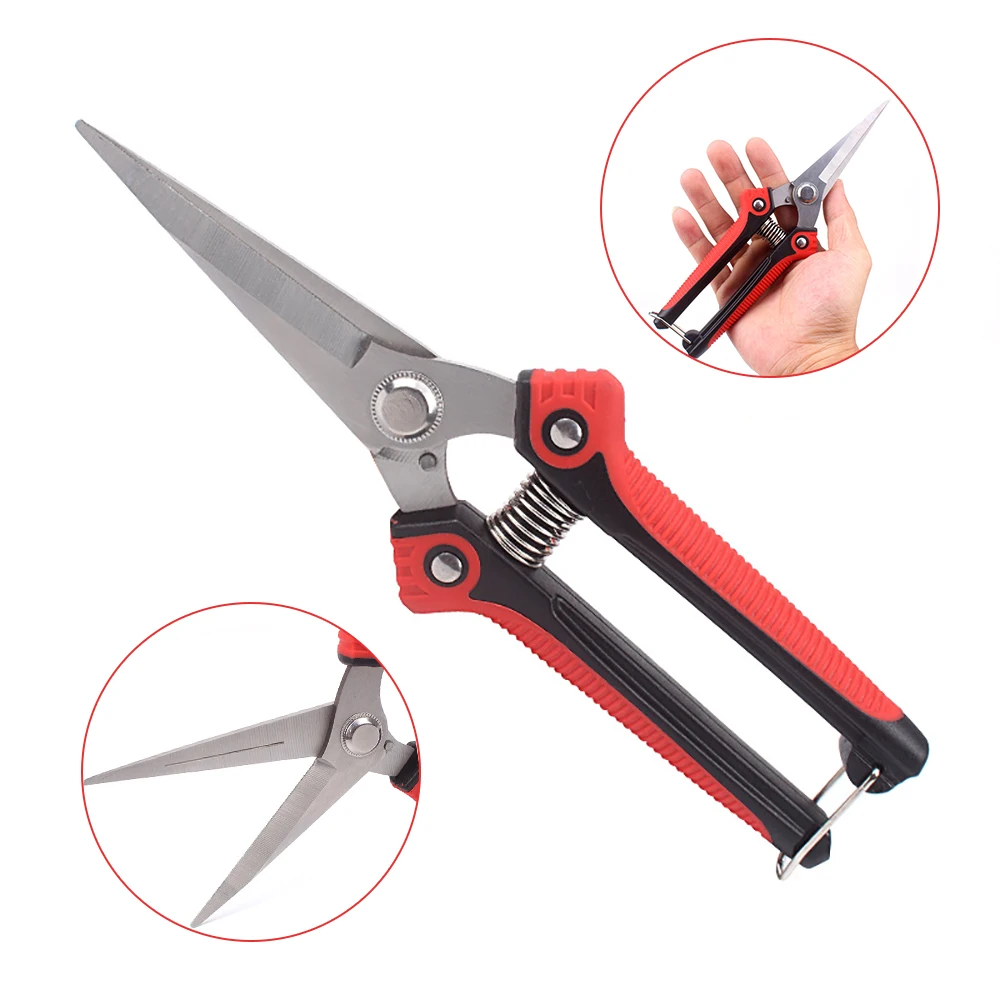 Pruning Shears Branch Scissors Stainless Steel Non-Slip Handle Sharp Garden Fruit Tree Pruning Tool