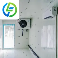 Équipement commercial de réfrigération de pièce de congélateur de restaurant de stockage de pièce froide 2025 avec des certificats solaires NSF 4