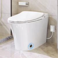 Luxury Smart Toilet with Dryer and warm water,  Elongated Bidet Toilet with Heated Seat, with Remote Control, LED Night Light 1