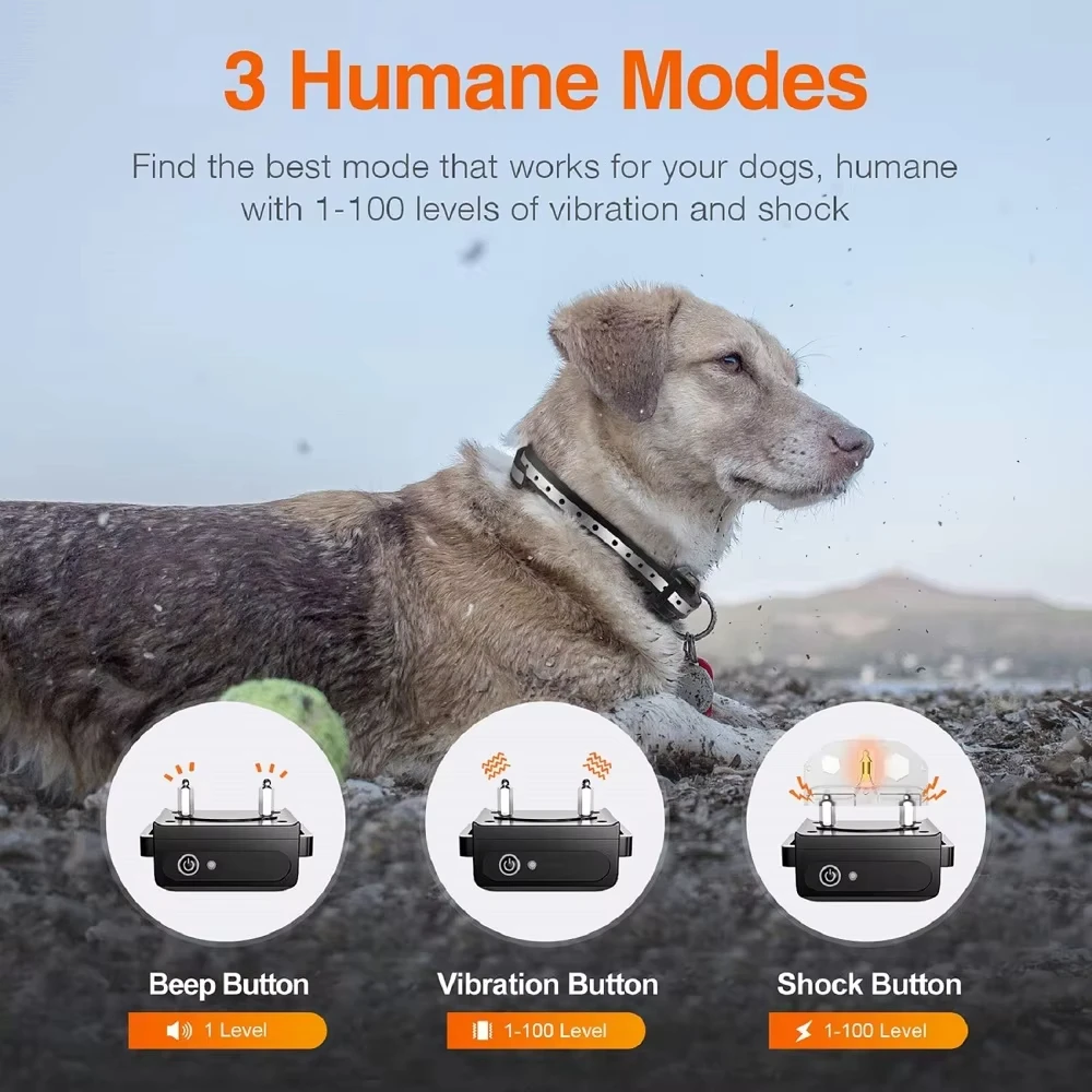 Remote Training Collar 2