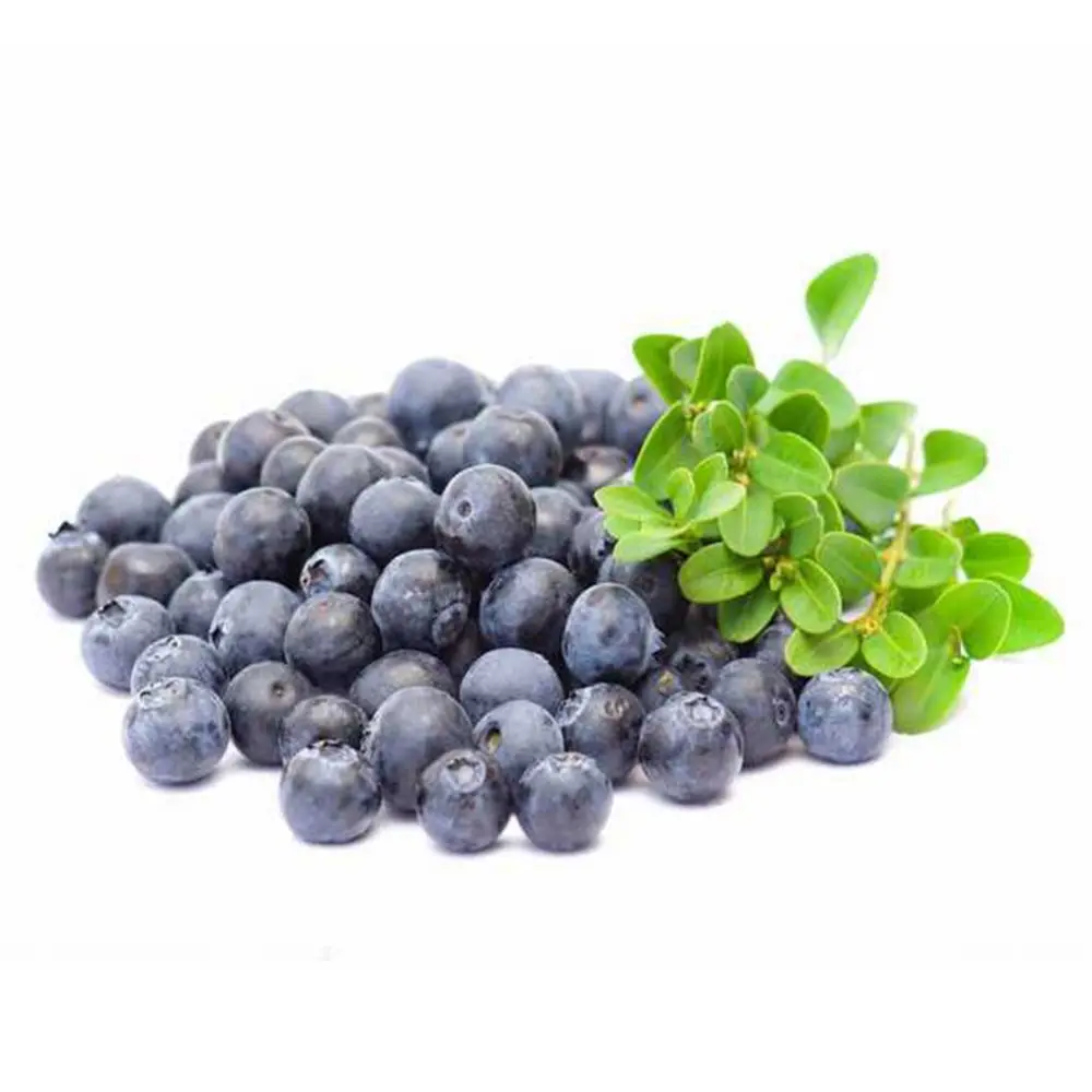20PCS High Simulation Fruit Plastic Fake Blueberry Photo Props Home Artificial Food Shop Model Decor
