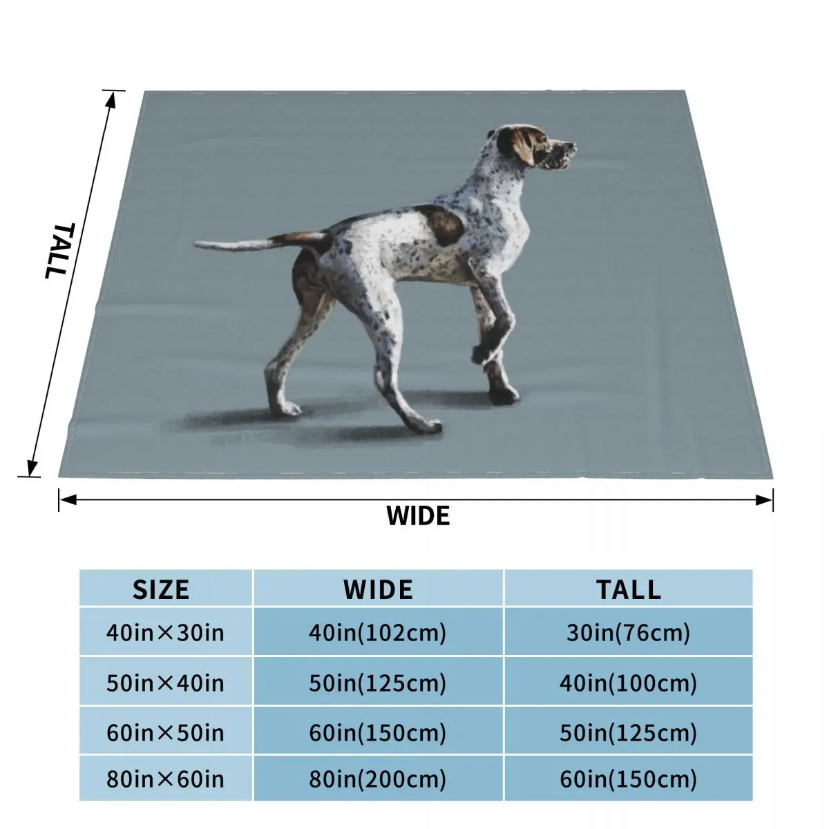 ������ ������ ��� ��� ���, ���� �ִϸ��̼� ���, ���� ���