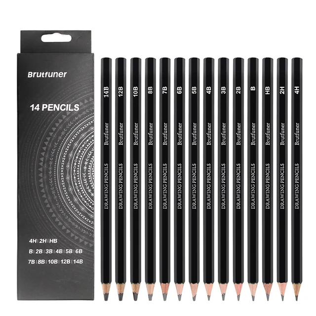 Professional Drawing Pencils Set 14 Pcs(14B-4H) Graphite Pencil for  Sketching/Shading Charcoal Pencils for