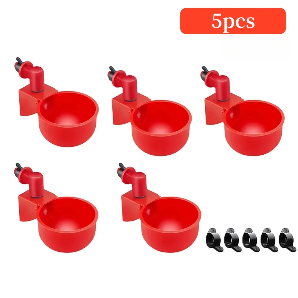 5 Pcs