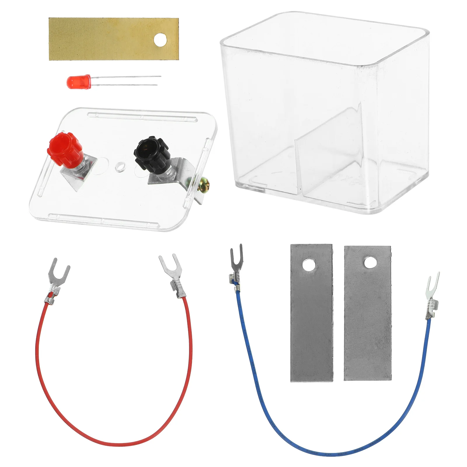 

1 Set Potato Experiment Kit Fruit Experiment Prop Experimental Equipment