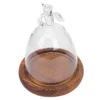 Angel Glass Cover Tabletop Display Case Bell Jar Eternal Flower Vase Gift Packaging Dome with Wood Base Landscape Plants 2
