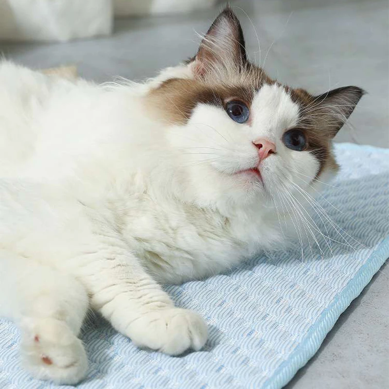 Cooling Mat For Cats And Dogs Breathable Summer Pet Bed Sofa_voghion.com