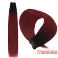 T1B-Bug2