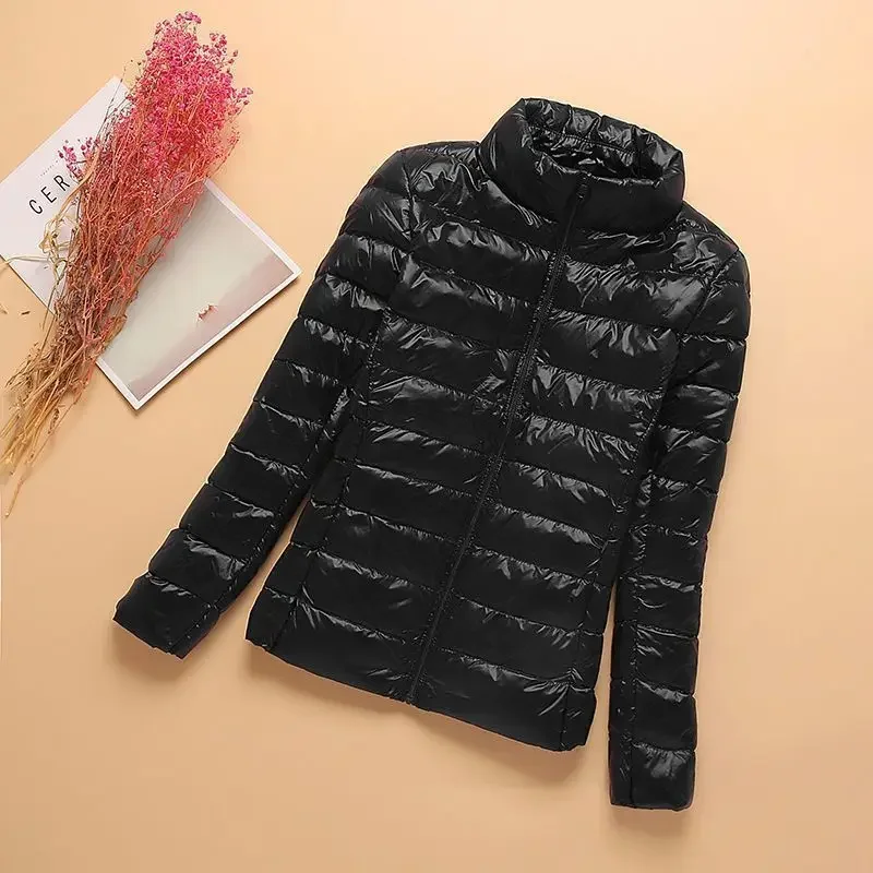 Boutique stand collar black