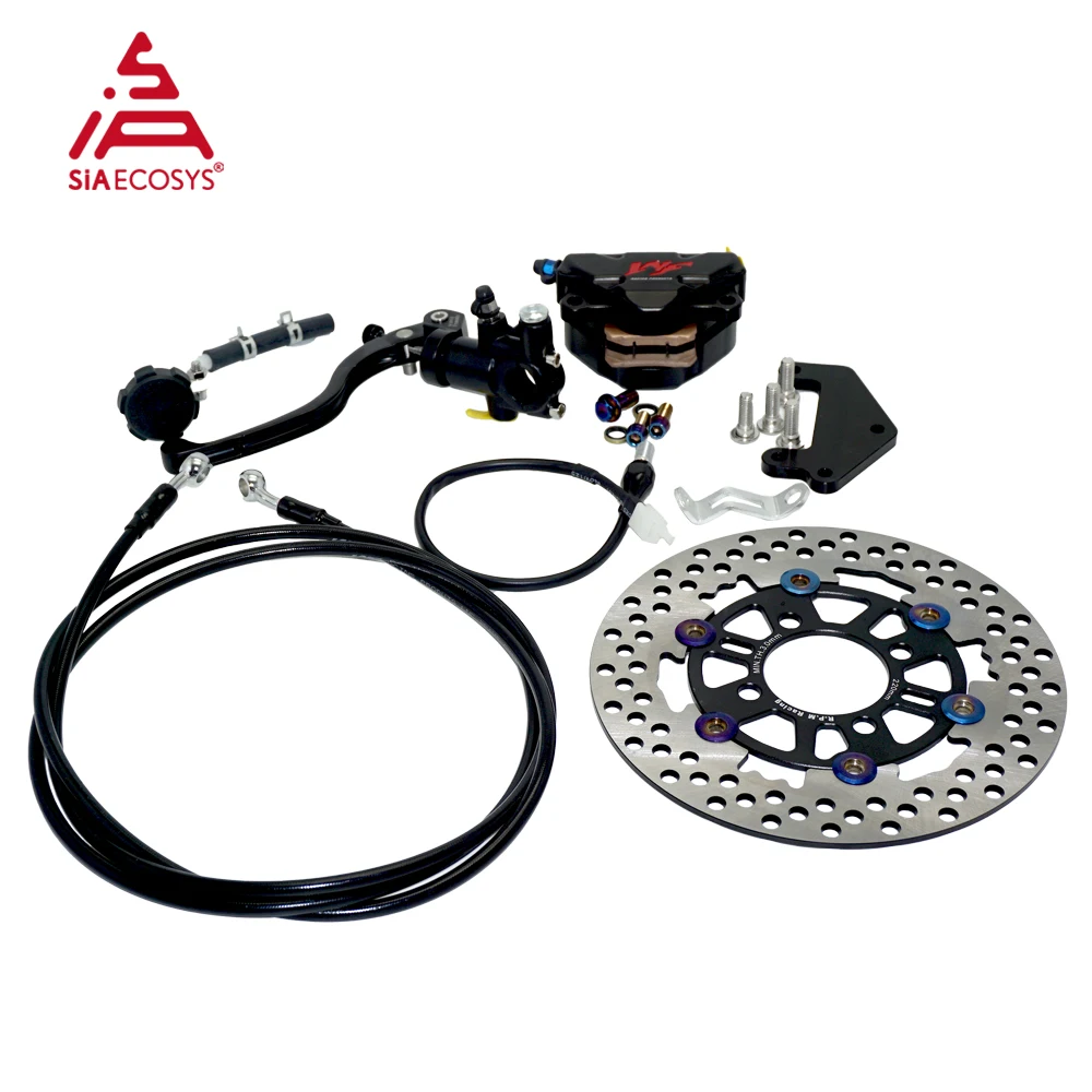 

Disc Brake system for QS 3kW mid drive motor assembly kits