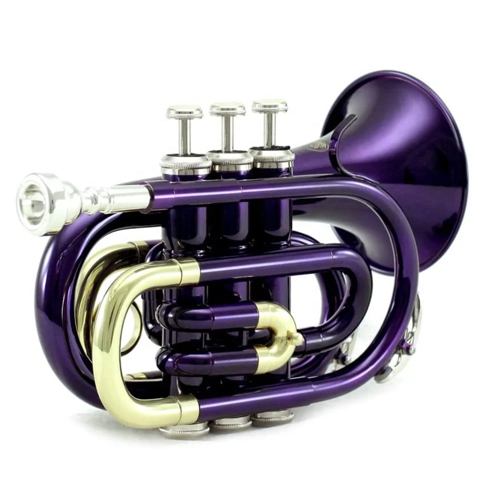 

SEASOUND OEM Cheap Purple Mini Pocket Trumpet Instrument Trompette JYPT406PU