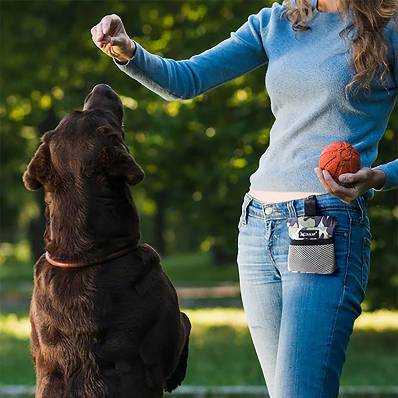 Portable Dog Training Snack Bag 2