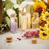 10Pcs 5-20ml Mini Clear Glass Bottles with Cork Stopper Spice Message Vials Wish Bottles DIY Drifting Empty Tiny Jars Decoration 4