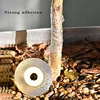 Roll tape graft budding Parafilm Pruning Pruner Plant fruit tree Nursery moisture barrier floristry Seedle Garden repair Strecth 4