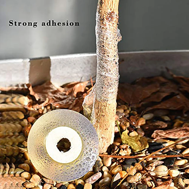 Roll tape graft budding Parafilm Pruning Pruner Plant fruit tree Nursery moisture barrier floristry Seedle Garden repair Strecth 4