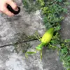 RC Animal Robot Antistress Insect Toys Infrared Simulation Spider Bee fly mantis Electric Toy for Children Prank Insects pet toy 3